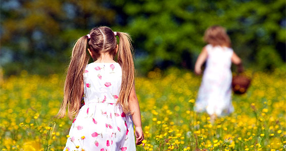 Explore the durham countryside using our cottages as a base